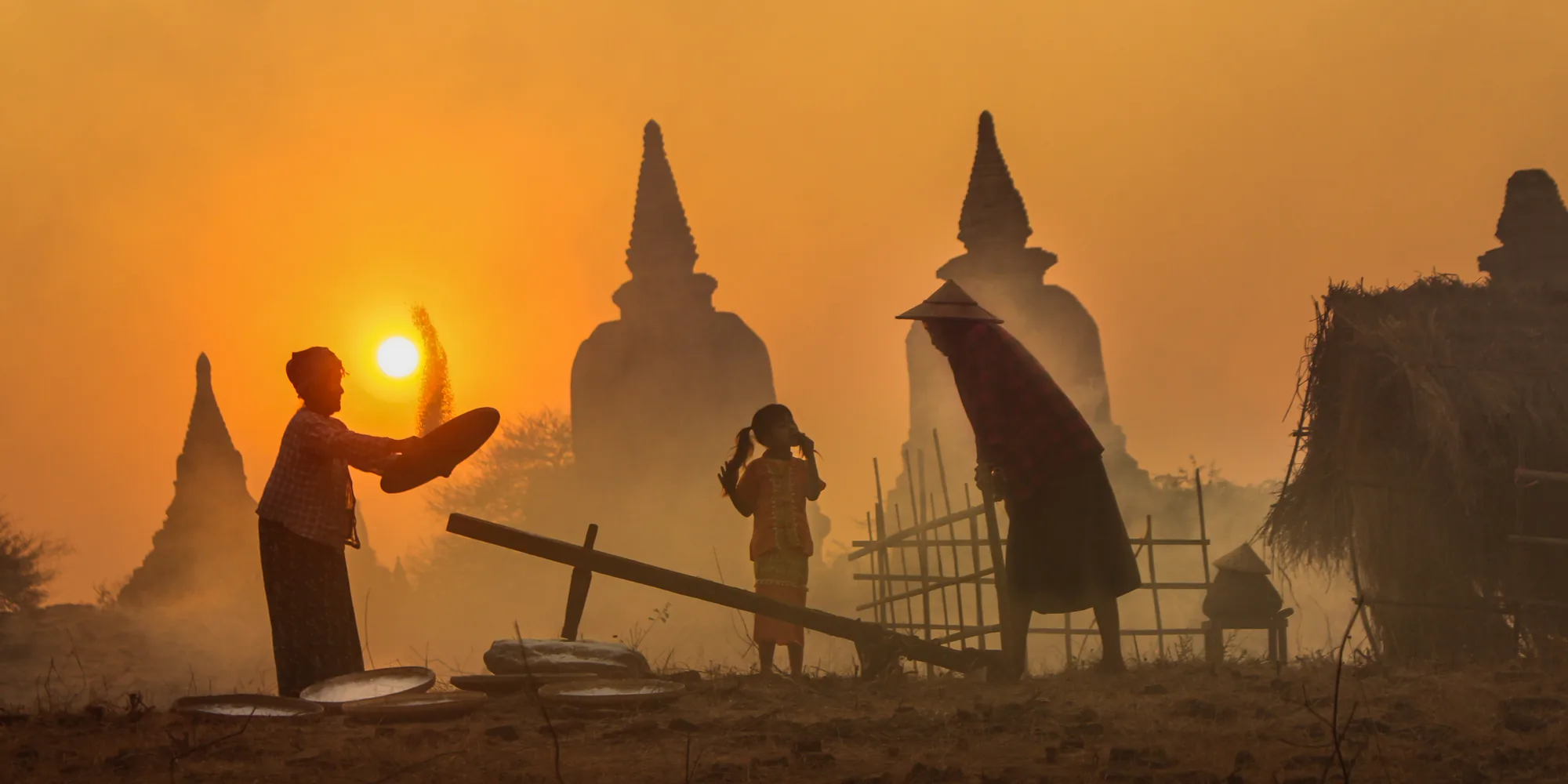 A farmer harvesting rice near Bagan in the late afternoon